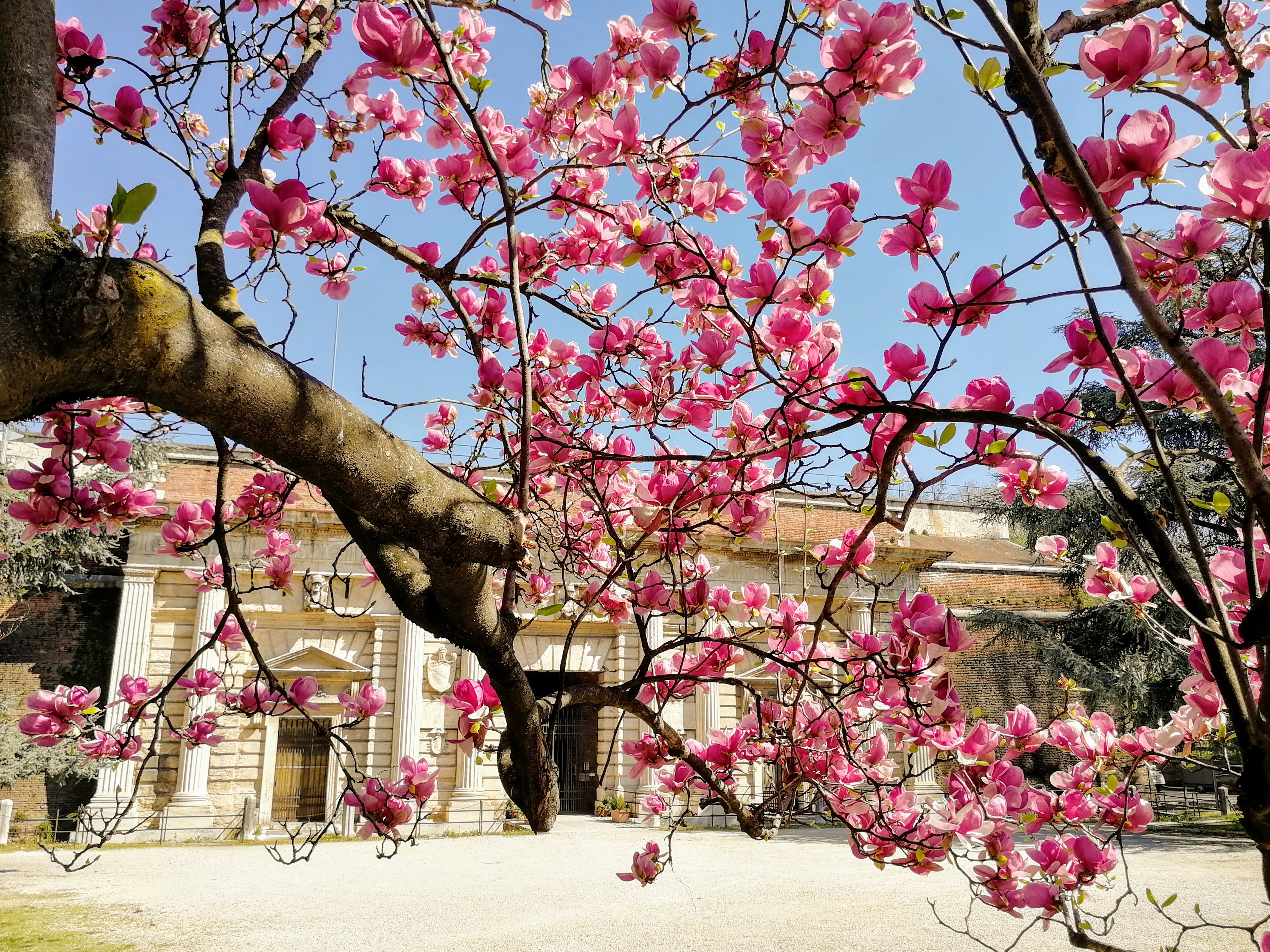 Che bel sabato di Primavera! Che bel sabato di Primavera!