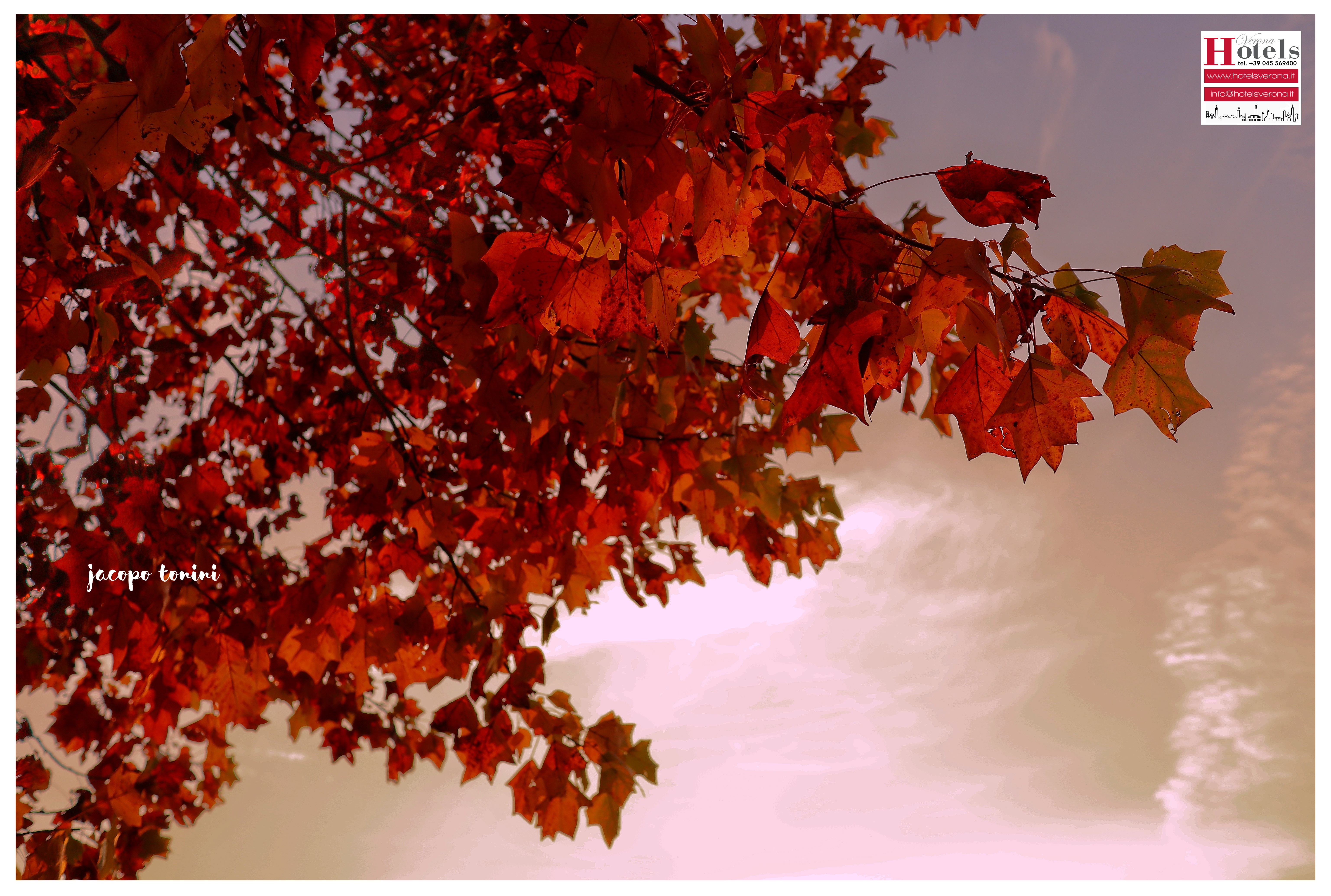 E' Autunno, ma sembra tornata la Primavera. E' Autunno, ma sembra tornata la Primavera.
